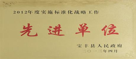 2012年度實施標準化戰略工作先進單位