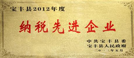 寶豐縣2012年度納稅先進企業