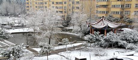 廠區雪景1
