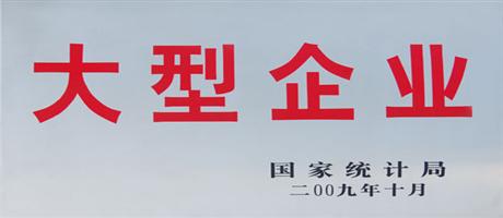 大型企業
